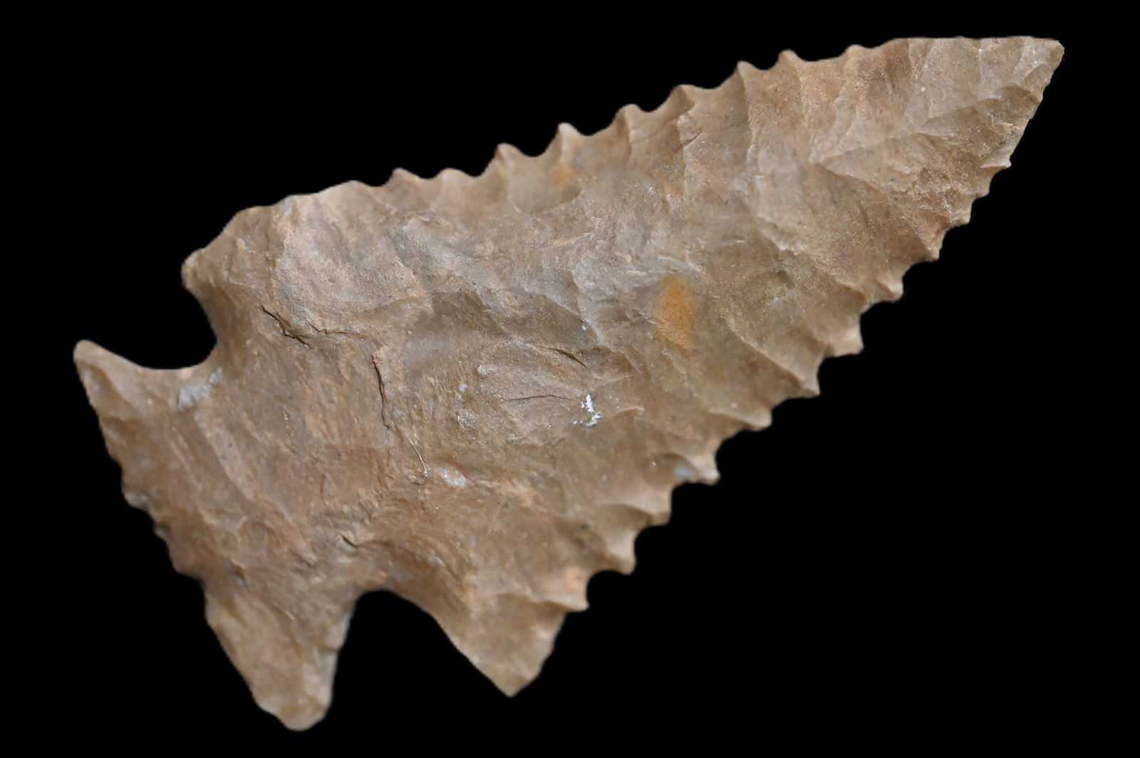 2 1/2" Palmer Found in Kentucky/Tennessee Ex: Walt McIntyre Collection. (1 of 5)