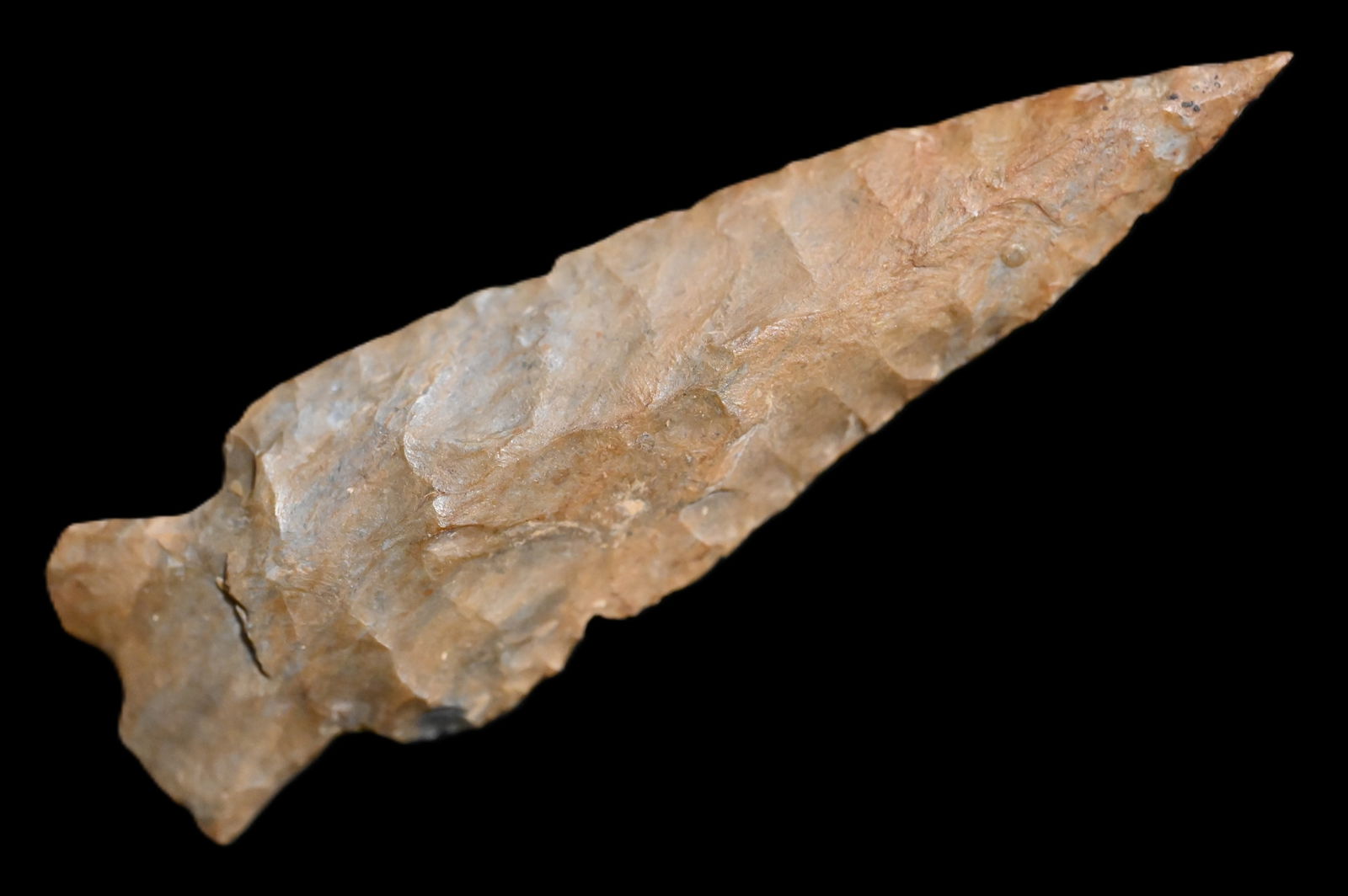 3 5/16" Bakers Creek Found in Kentucky/Tennessee Ex: Walt McIntyre Collection. (1 of 5)