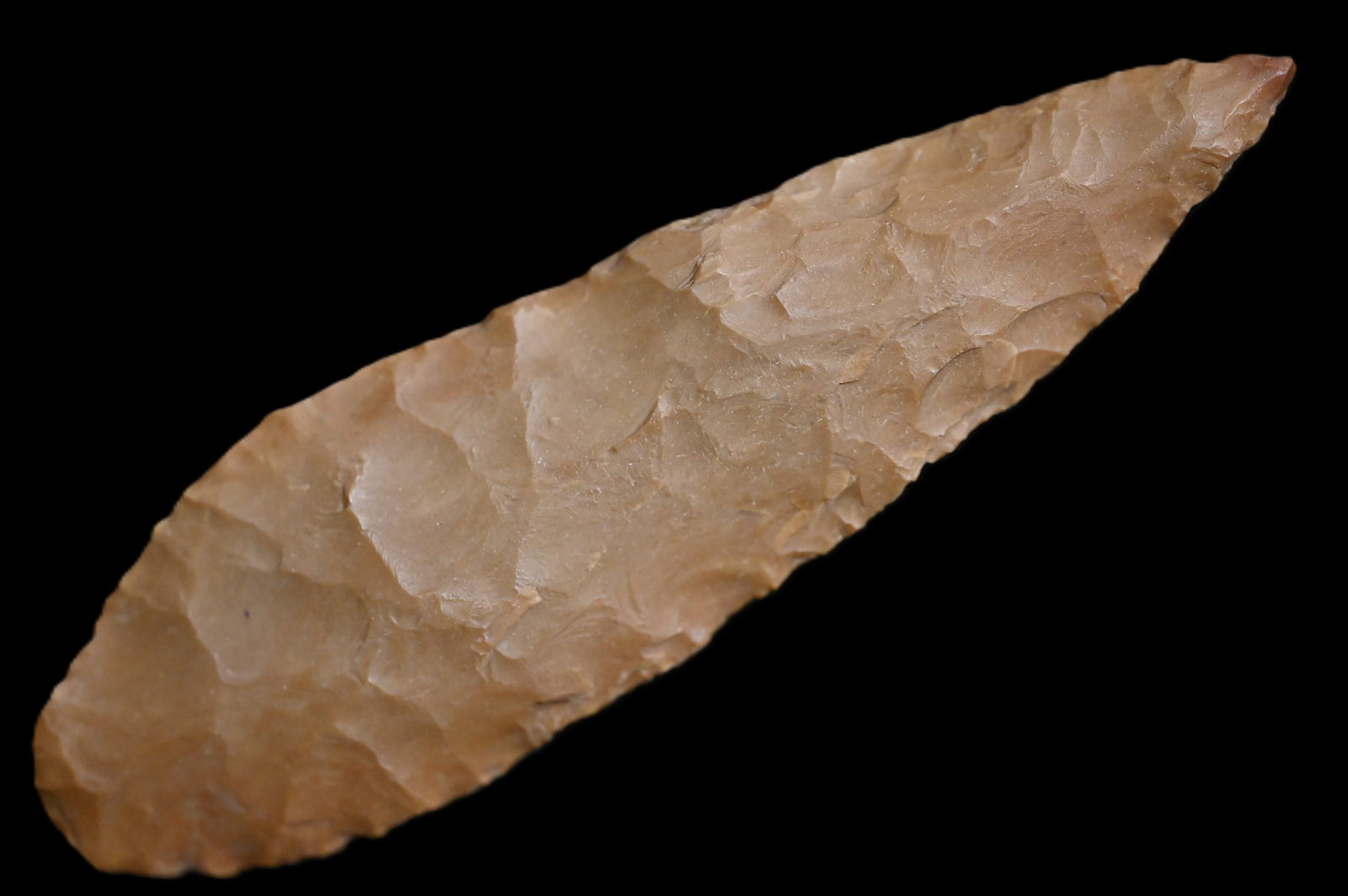 3 15/16" Lerma Found in Kentucky/Tennessee Ex: Walt McIntyre Collection. (1 of 5)