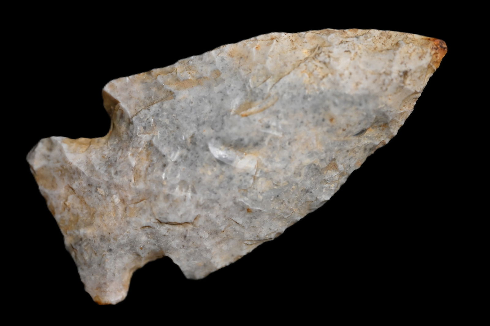 2 5/8" Bakers Creek found in Kentucky/Tennessee Ex: Walt McIntyre Collection. (1 of 5)