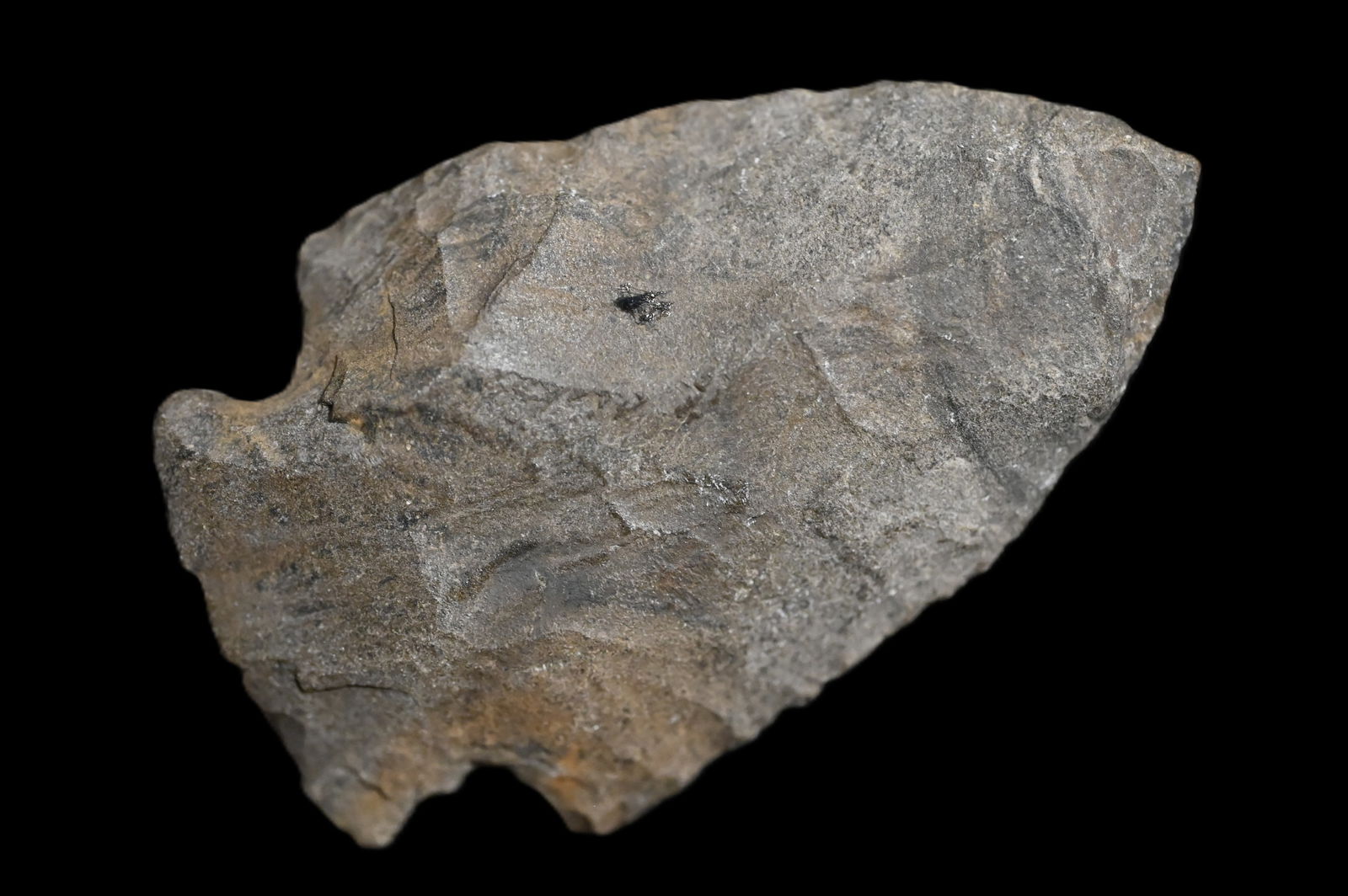 2 1/2" Hopewell Found in Kentucky/Tennessee Ex: Walt McIntyre Collection. (1 of 5)