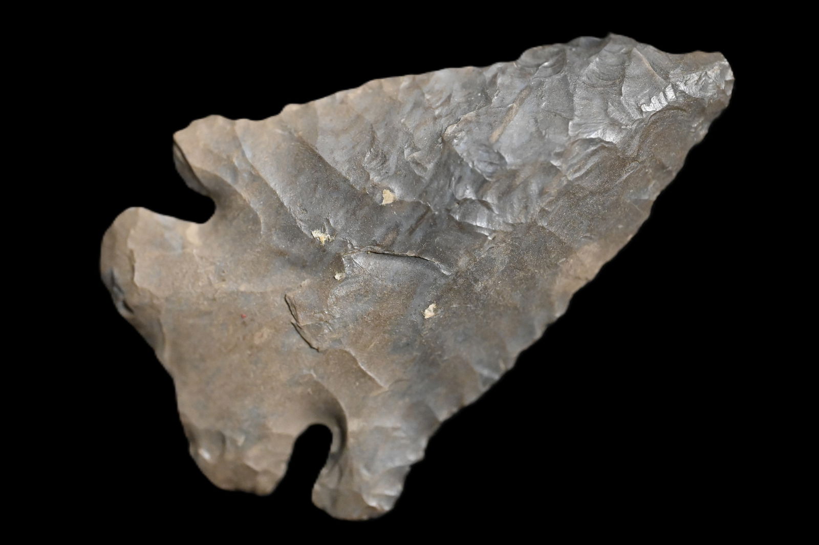 2 9/16" Lost Lake Found in Kentucky/Tennessee Ex: Walt McIntyre Collection. (1 of 5)