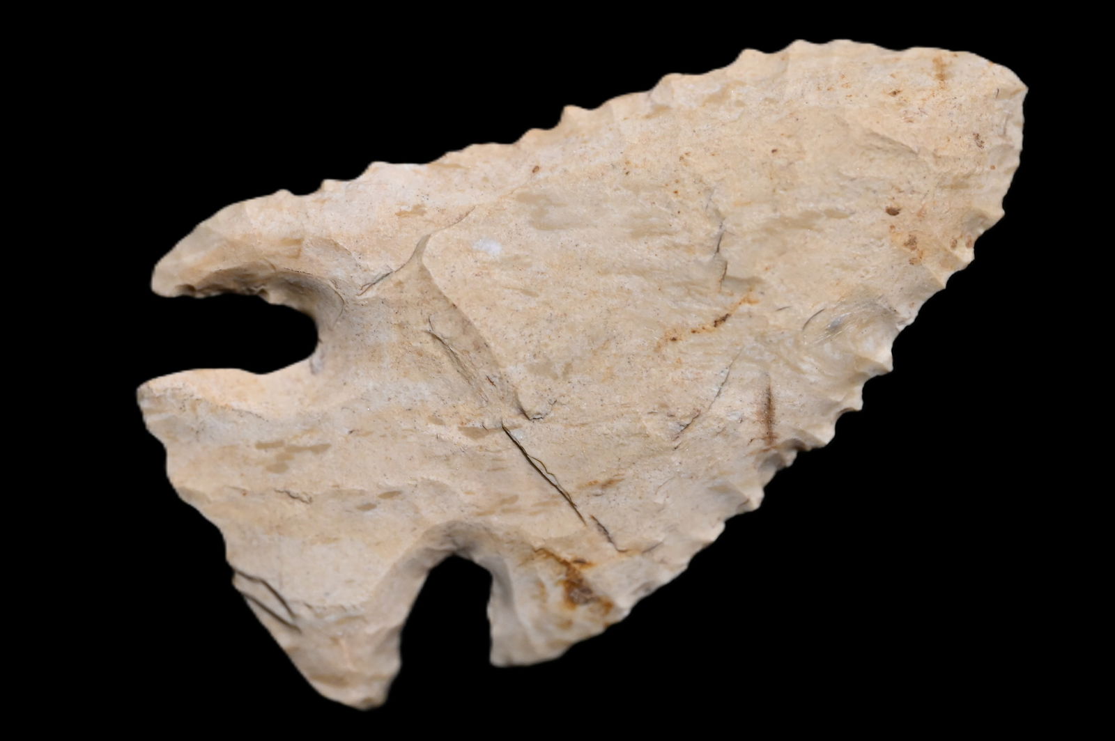 2 1/2" Pine Tree Found in Kentucky/Tennessee Ex: Walt McIntyre Collection.: 2 1/2" Pine Tree Found in Kentucky/Tennessee Ex: Walt McIntyre Collection.