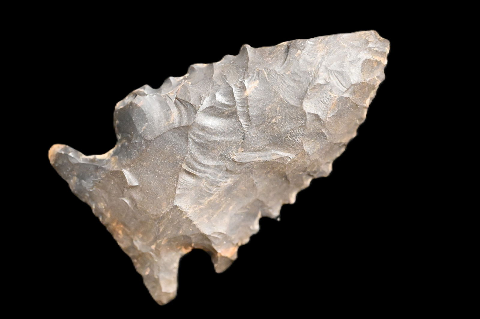 2 3/16" Pine Tree Found in Kentucky/Tennessee Ex: Walt McIntyre Collection.: 2 3/16" Pine Tree Found in Kentucky/Tennessee Ex: Walt McIntyre Collection.