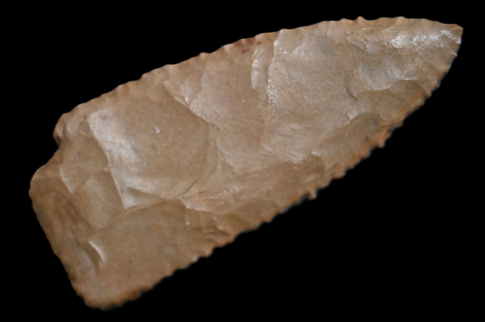 3 1/8" Copena Found in Kentucky/Tennessee Ex: Walt McIntyre Collection. (1 of 5)