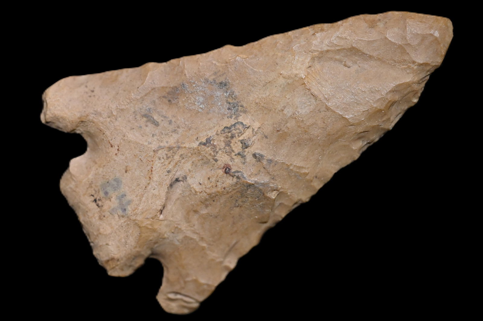 2 11/16" Eva Found in Kentucky/Tennessee Ex: Walt McIntyre Collection. (1 of 5)