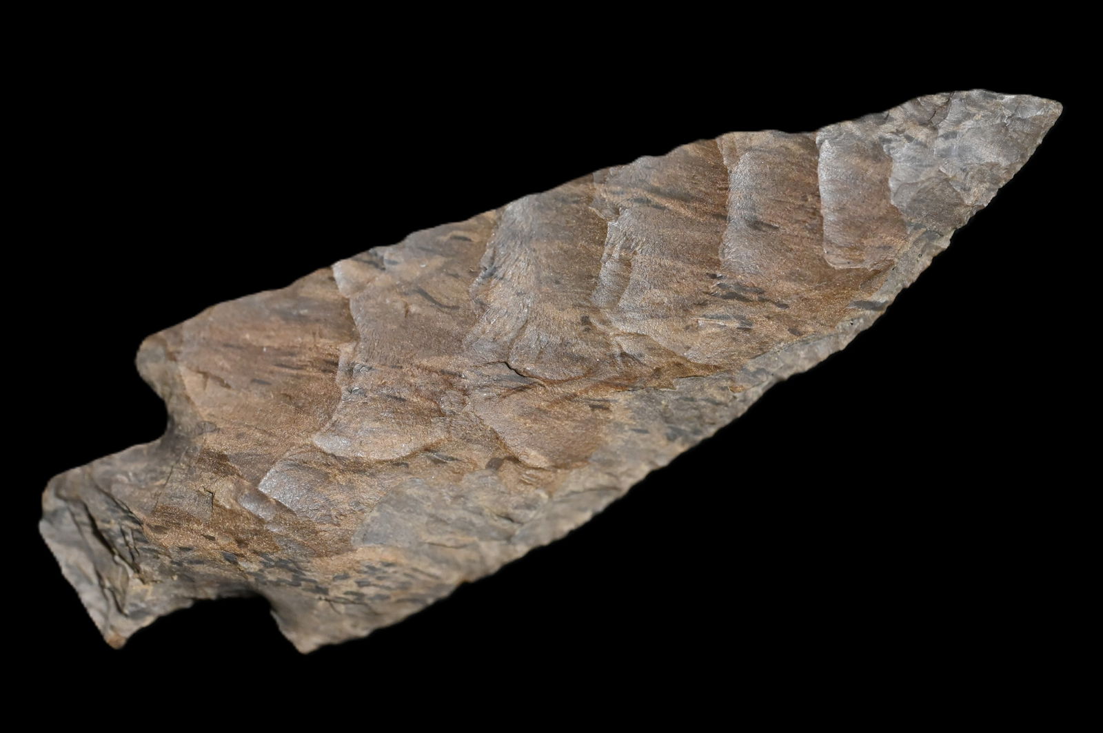 3 9/16" Little Bear Creek Found in Kentucky/Tennessee Ex: Walt McIntyre Collection.: 3 9/16" Little Bear Creek Found in Kentucky/Tennessee Ex: Walt McIntyre Collection.