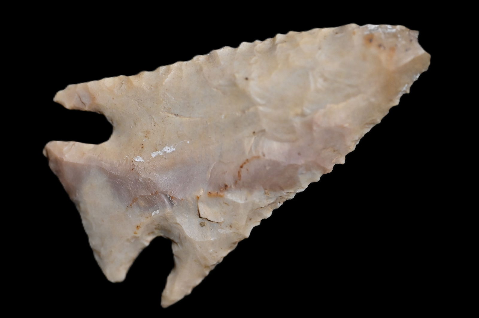 2 1/8" Pine Tree Found in Kentucky/Tennessee Ex: Walt McIntyre Collection.: 2 1/8" Pine Tree Found in Kentucky/Tennessee Ex: Walt McIntyre Collection.