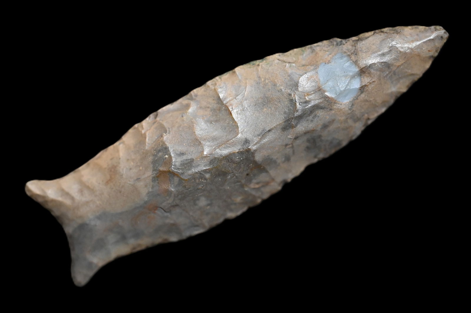 3 7/16" Beaver Lake "Restored" Found in Kentucky 7/8" of the base restored Ex: Walt McIntyre: 3 7/16" Beaver Lake "Restored" Found in Kentucky 7/8" of the base restored Ex: Walt McIntyre Collection.