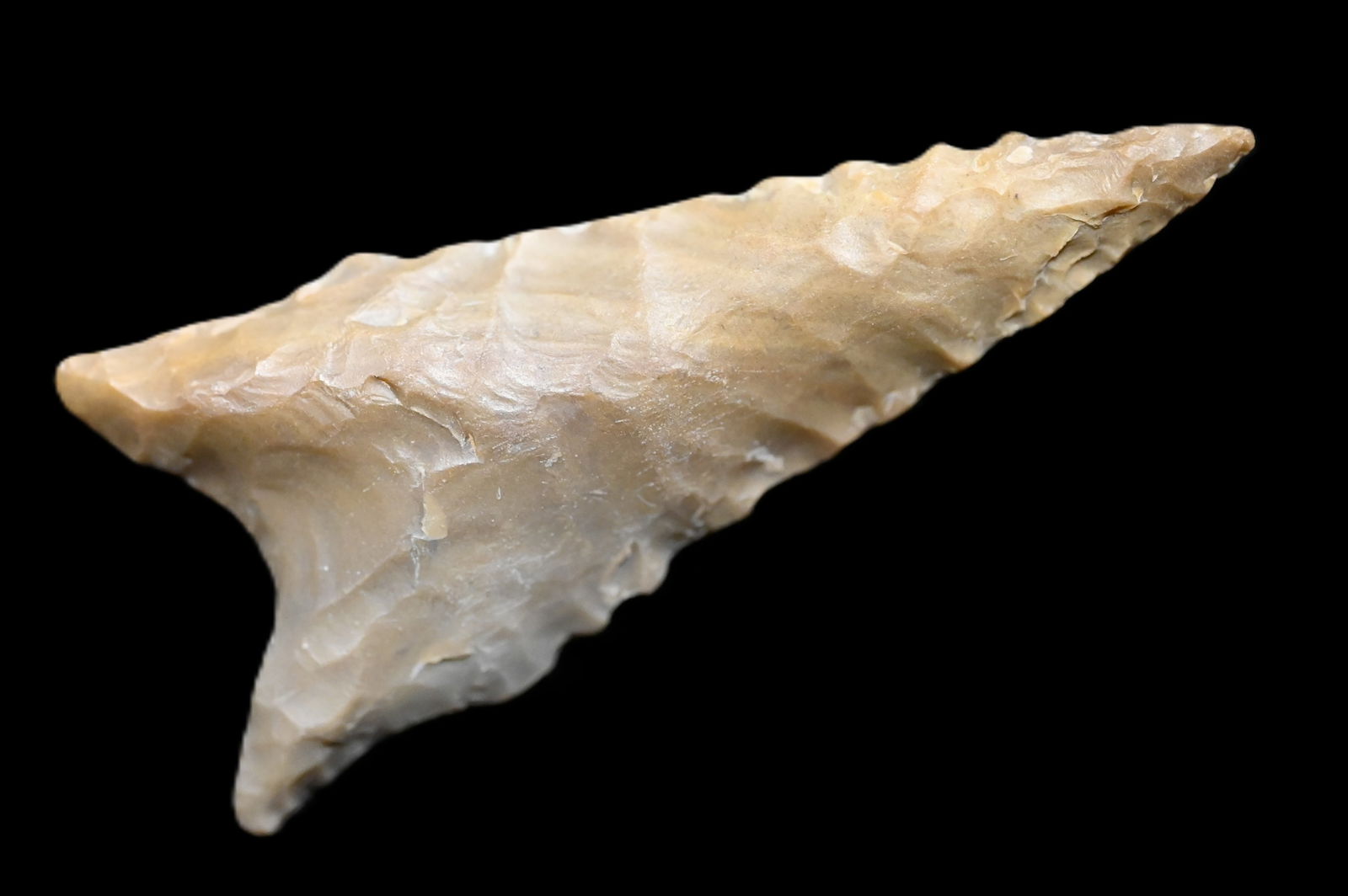 2 3/8" Dalton Arrowhead Modern Made.: 2 3/8" Dalton Arrowhead Modern Made.