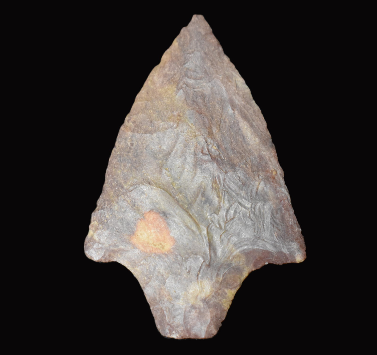 Super Fine 2 5/8" Adena Dickson found in Barry Co., Missouri (1 of 9)