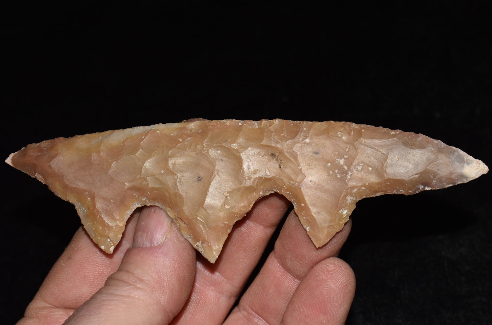 5 3/8" Pre-Columbian Animal Effigy, 500 BCE–1200 CE (1 of 7)