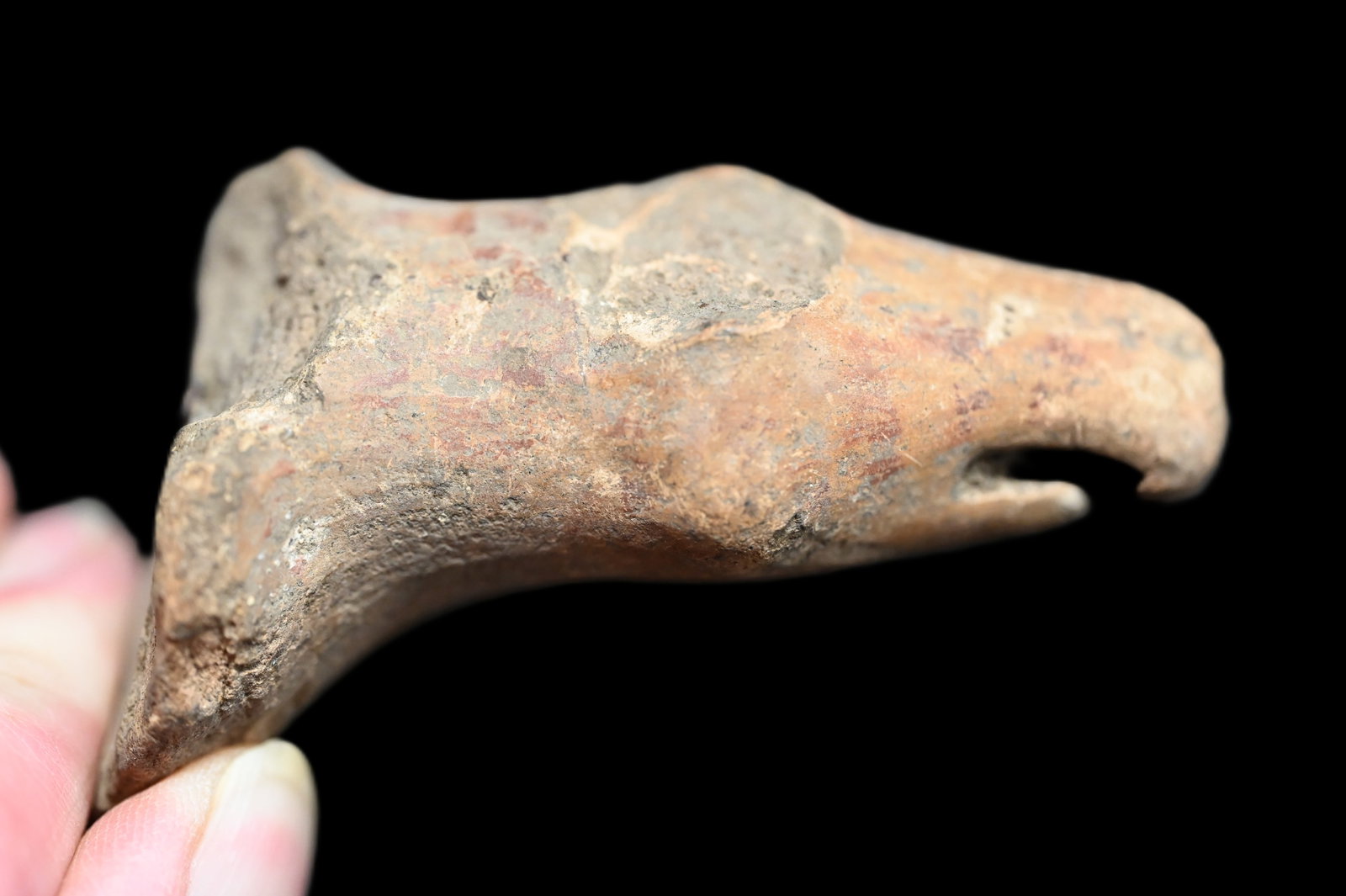 Bird Effigy Pottery Vesses 3 3/8" Section Pre-Columbian. (1 of 6)