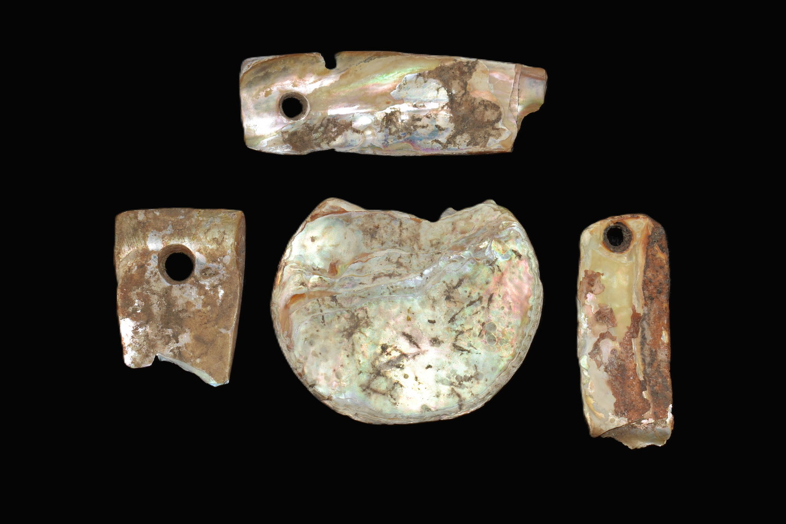 Group of 4 Prehistoric Shell Pendants, Fulton Co. IL (Asher Estate) (1 of 5)
