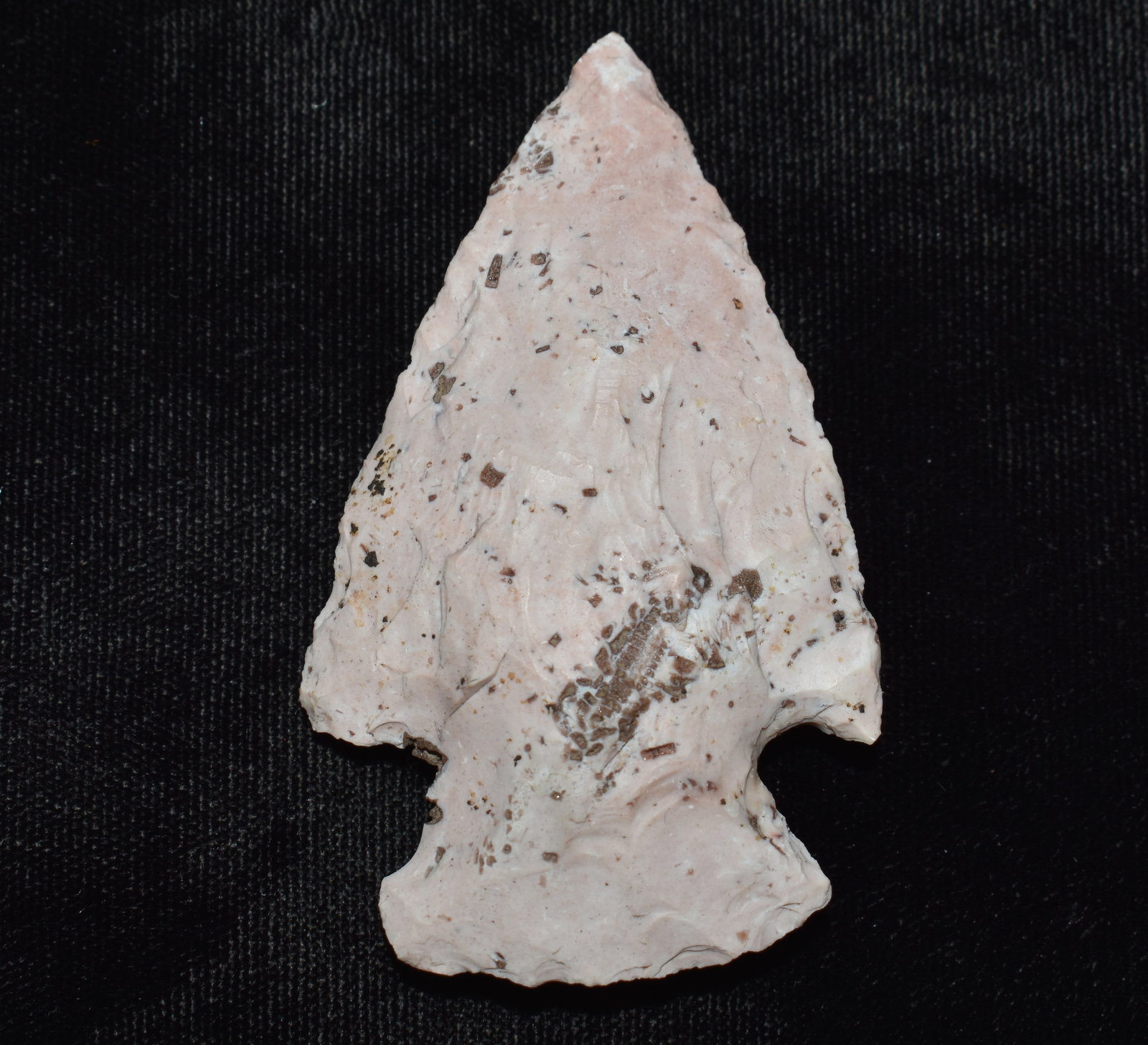 2 5/8" Snyders found in Monroe County, Missouri: This well made Snyders point measures approximately 2 1/2 inches and is crafted from a colorful fossil rich Burlington chert. The material contains numerous small embedded fossils, an uncommon and vis