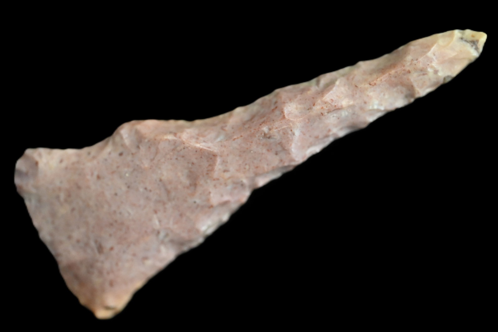 2 15/16" Hopewell Drill Keele COA. Heat treated to dark red. Found in Saline Co. Missouri Ex: Gene (1 of 6)