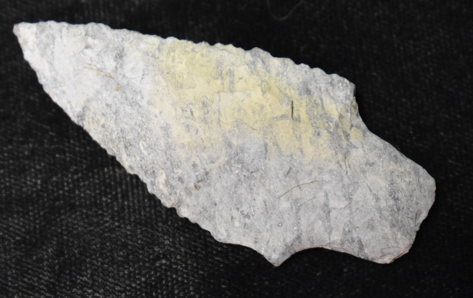 2 3/8" Serrated Adena Dickson found in Scottland Co., Missouri (1 of 5)