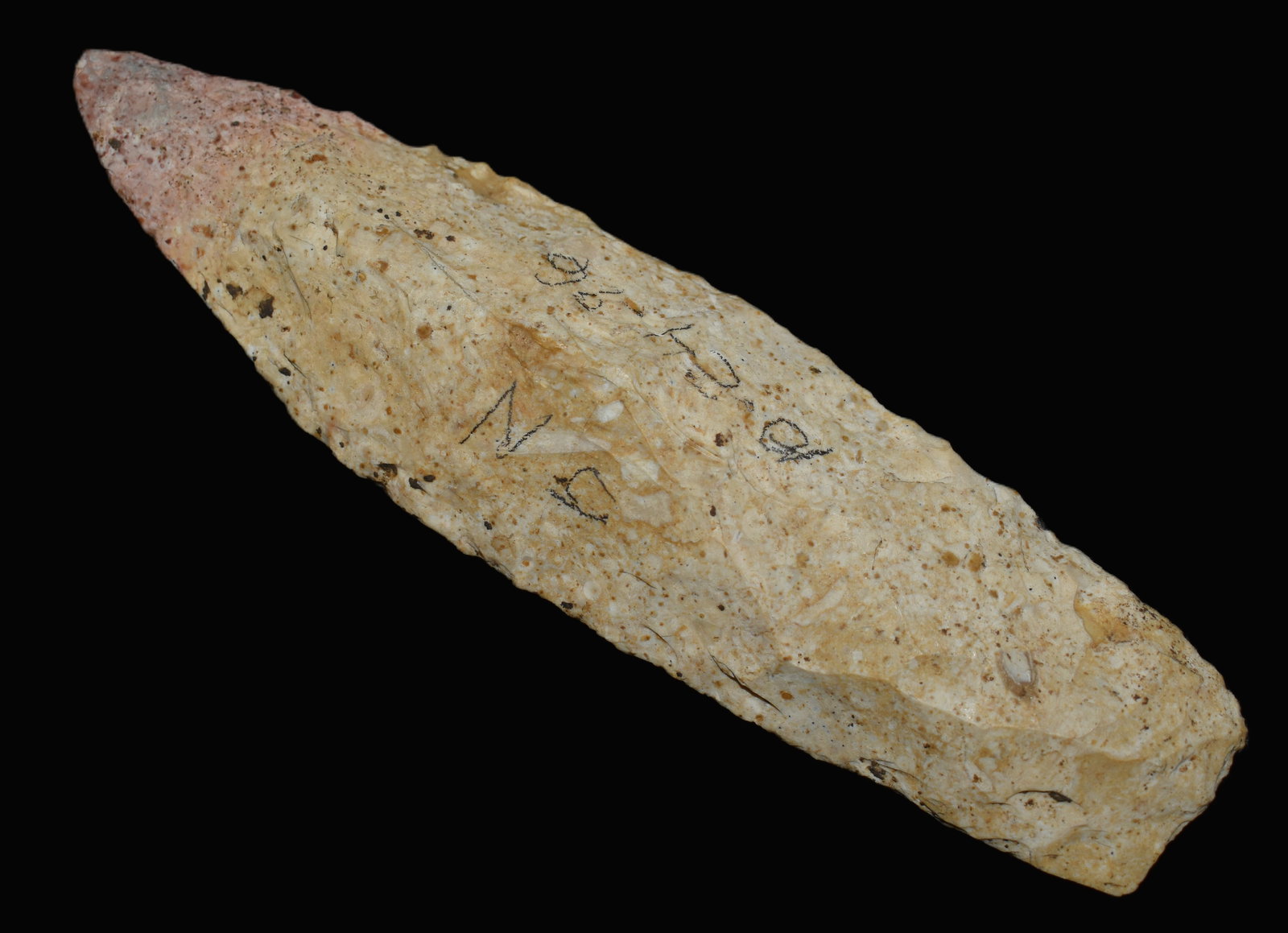 4 7/8" Sedalia Found in Franklin County, Missouri (1 of 9)