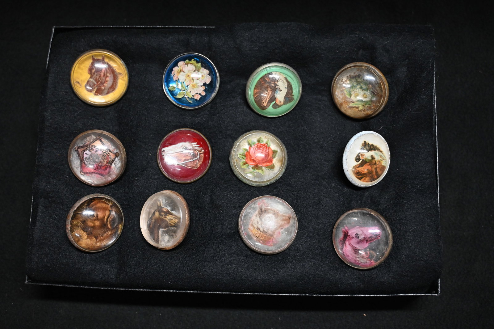 12 Vintage Horse Bridle Rosette's Oval Glass Buttons in a 8" x 12" Frame. (1 of 10)
