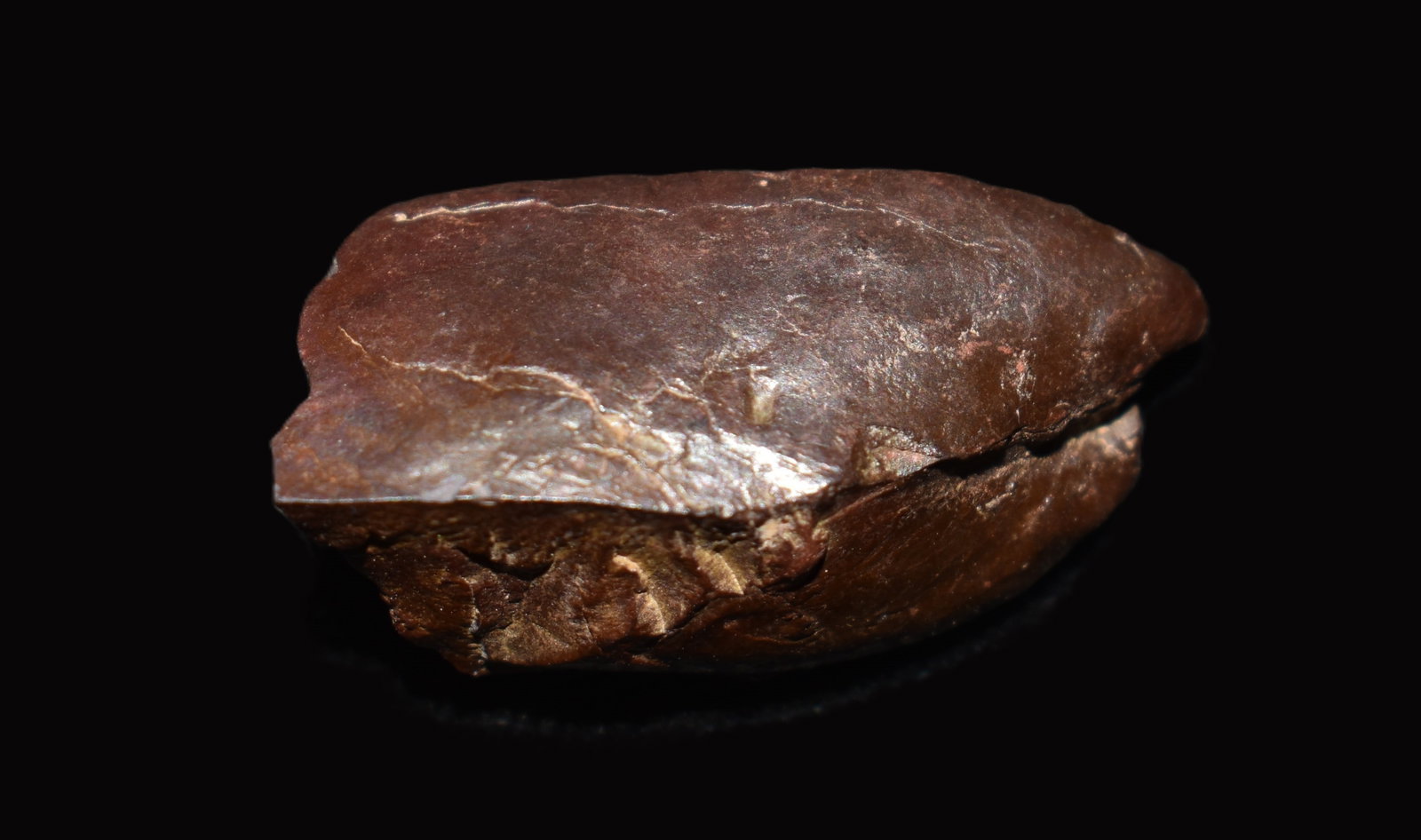 Hematite Clam Fossil found near Chillicothe, Missouri (1 of 4)