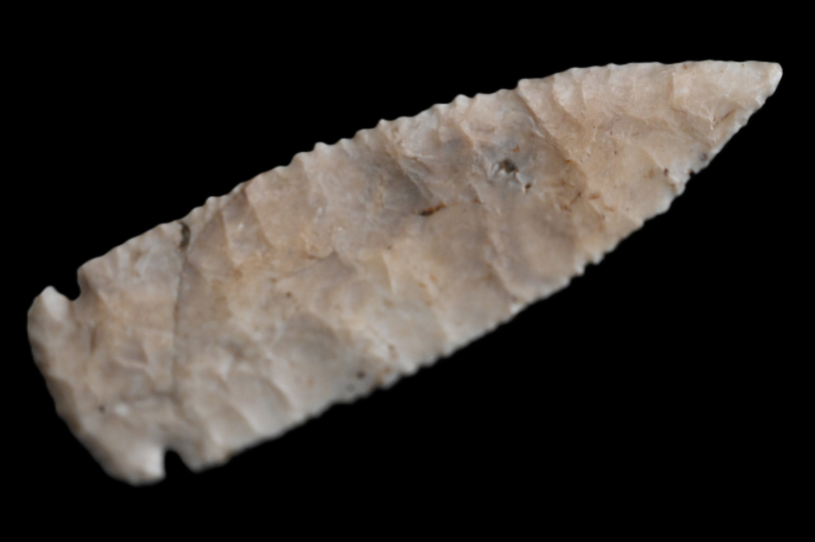 3 1/4" Cache River, Roy Motley COA. Base appears to be re-chipped. (1 of 8)