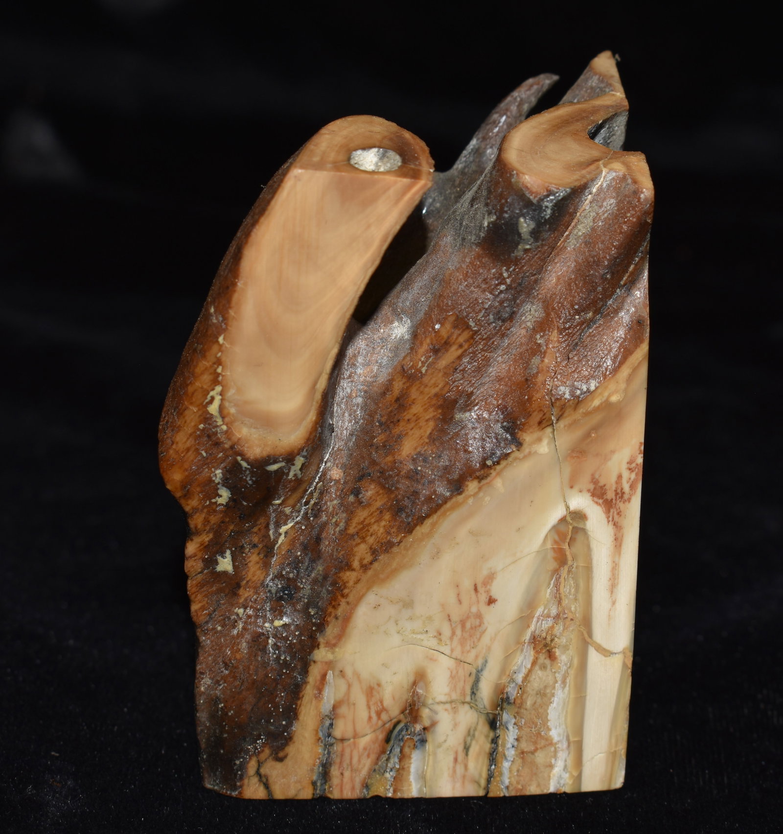 Fossilized Mammoth Tooth Paper Weight: Fossilized Mammoth Tooth Paper Weight. Made from a real mammoth tooth. With sides cut and polished it shows off he inside of the tooth structure. Measures 3" by 2" by 2" approximately.