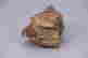 item-123469638=3