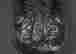 item-131721029=4