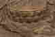 item-131721118=10
