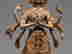 item-131721183=9