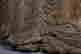 item-131721187=3