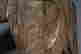 item-131721187=4
