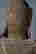 item-131721187=6