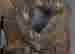 item-131721187=7