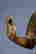 item-133827802=4