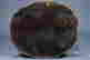 item-133827969=11