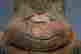 item-133828089=4