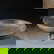 item-209114377=1
