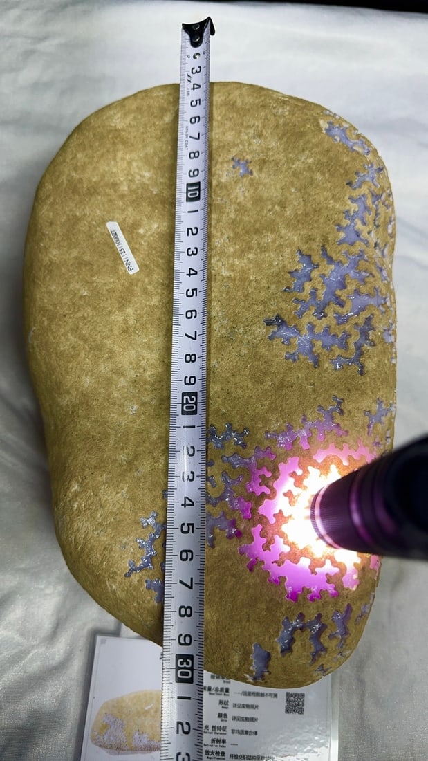 Violet Jadeite Rough Stone - 10