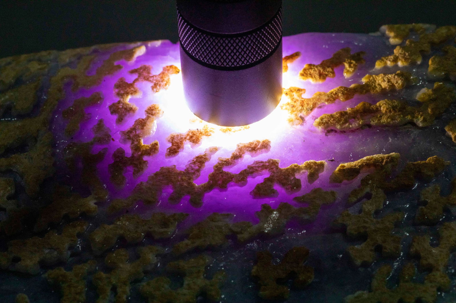 Jadeite rough stone (with certificate), No.06 - 11