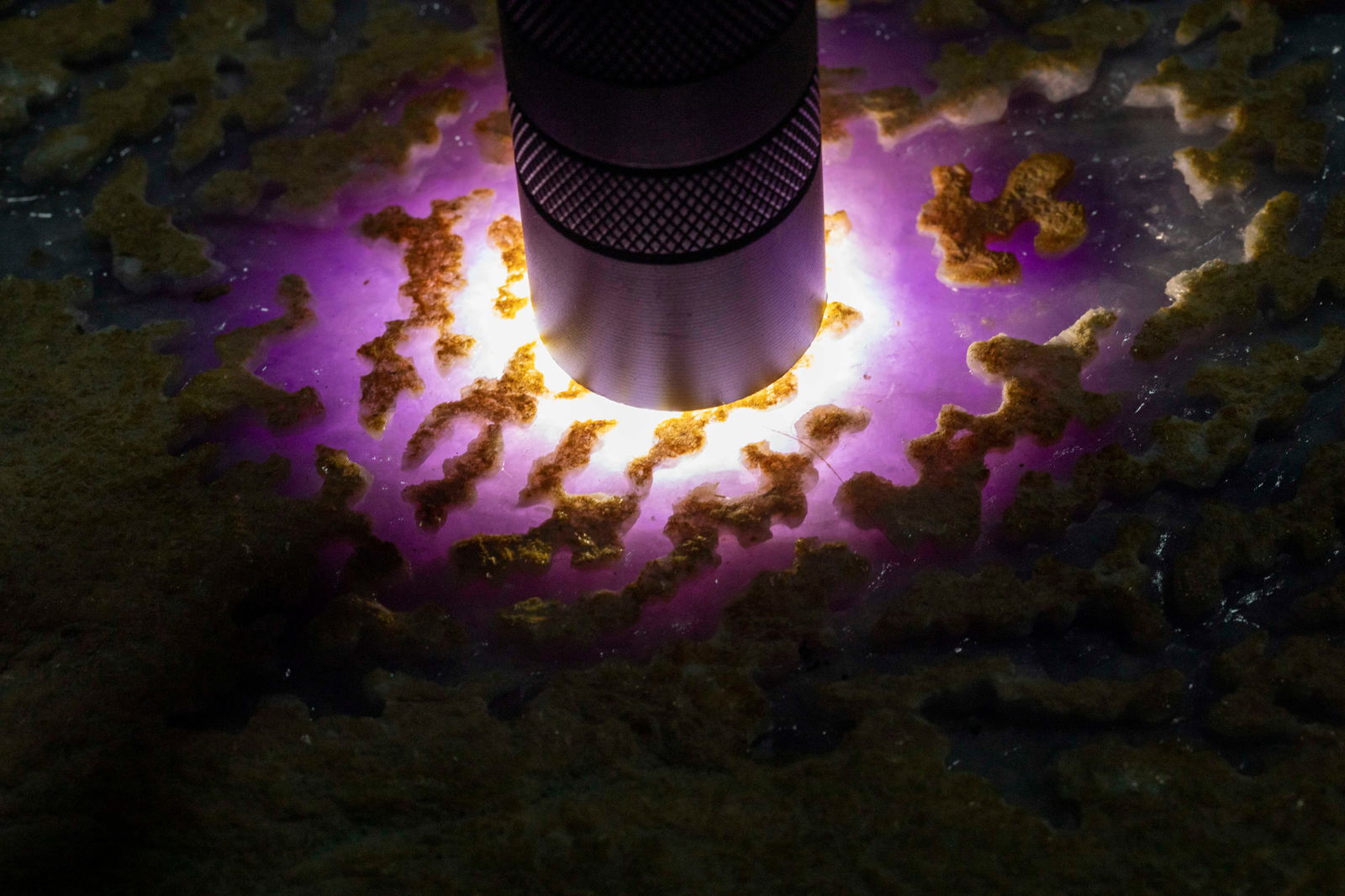 Jadeite rough stone (with certificate), No.06 - 12