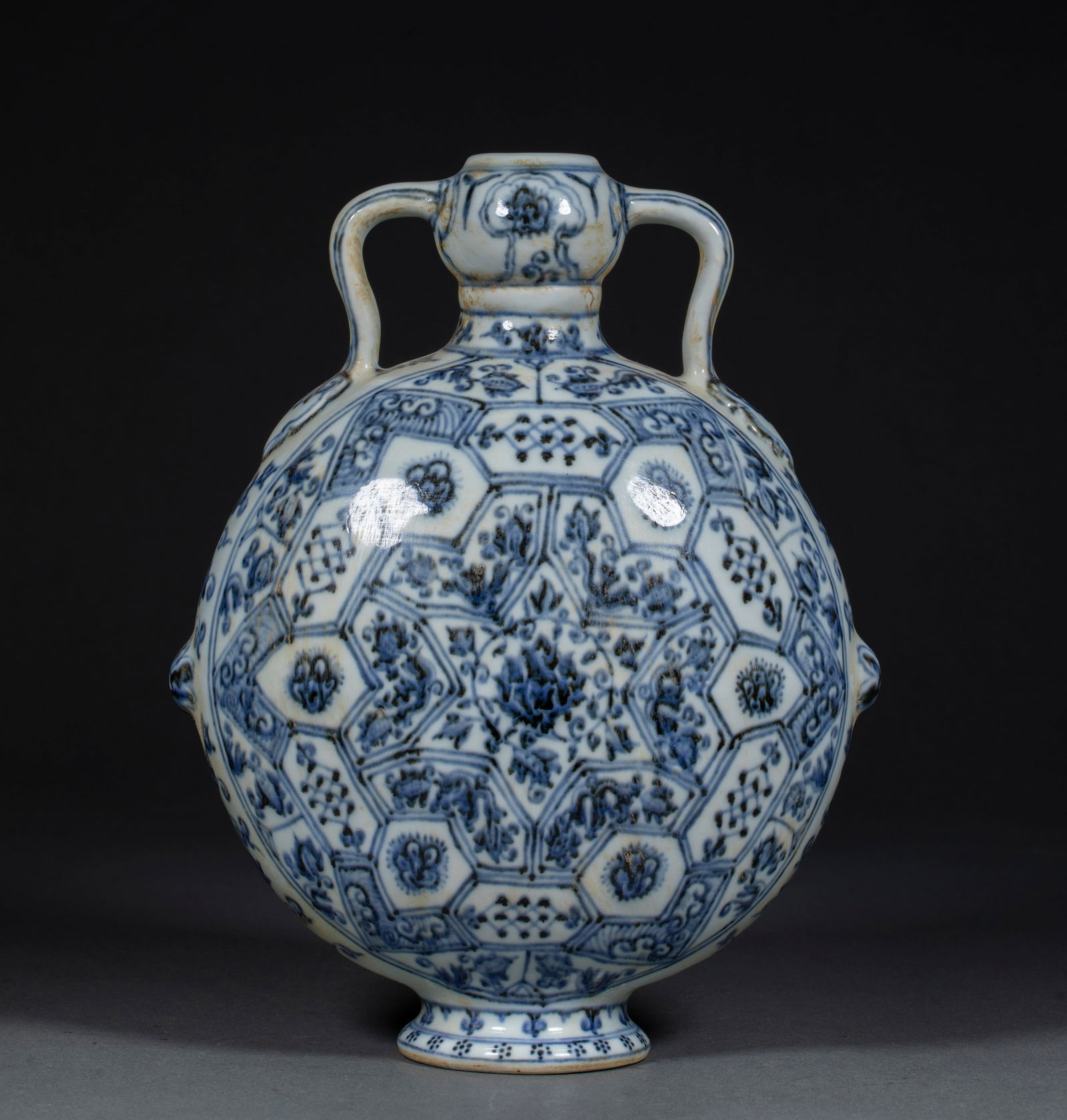 Yuan Dynasty blue and white porcelain flower pattern moon flask (1 of 14)