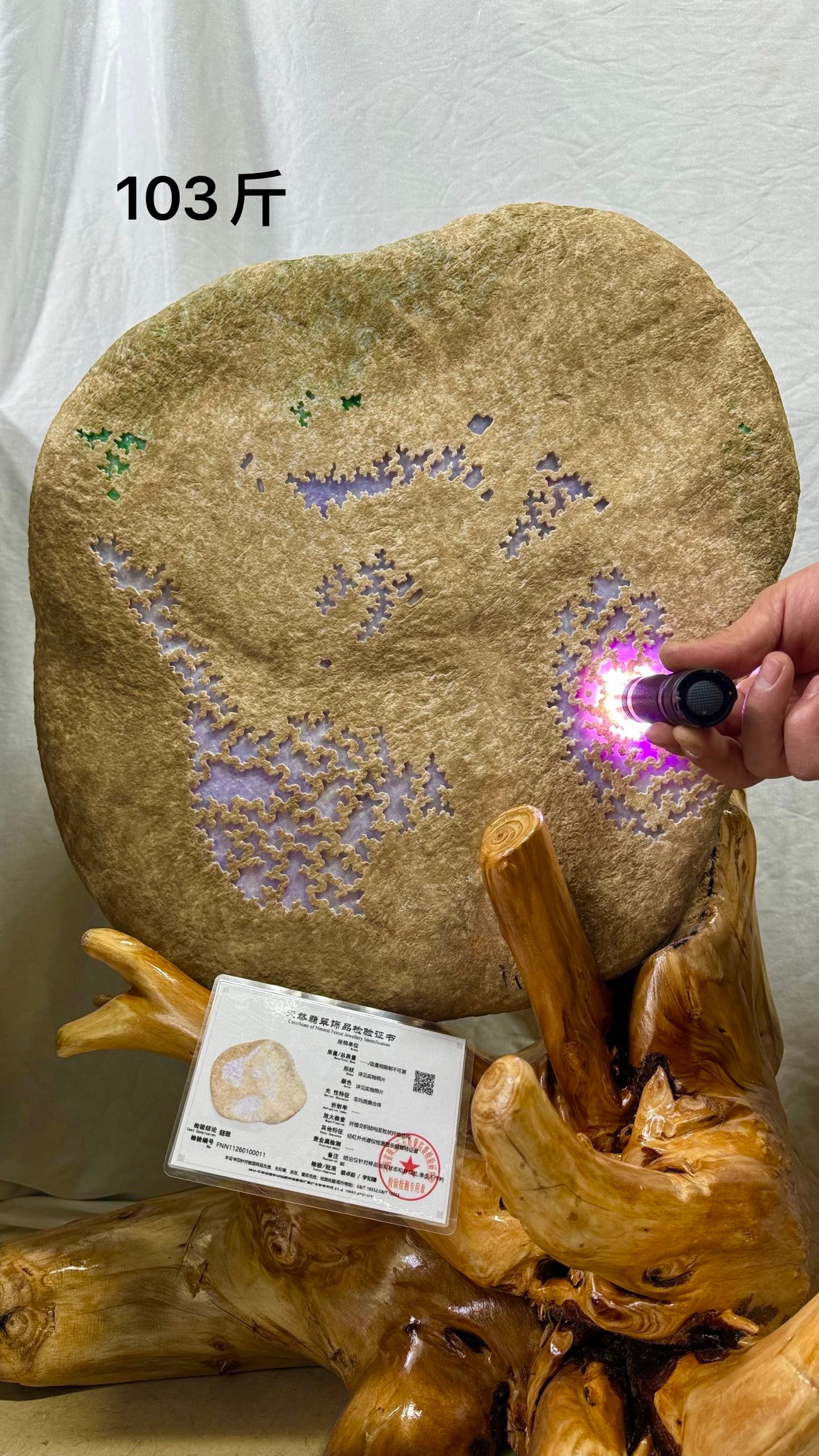 Grade A High-ice Violet Jadeite Rough Stone with Spring Color: Type A High-Ice Violet Lavender with Green Stripe Jadeite Rough Stone, height 42cm, 51500g. Modern natural jadeite (Type A) rough stone, weighing approximately 103 jin, with window revealing high-ice