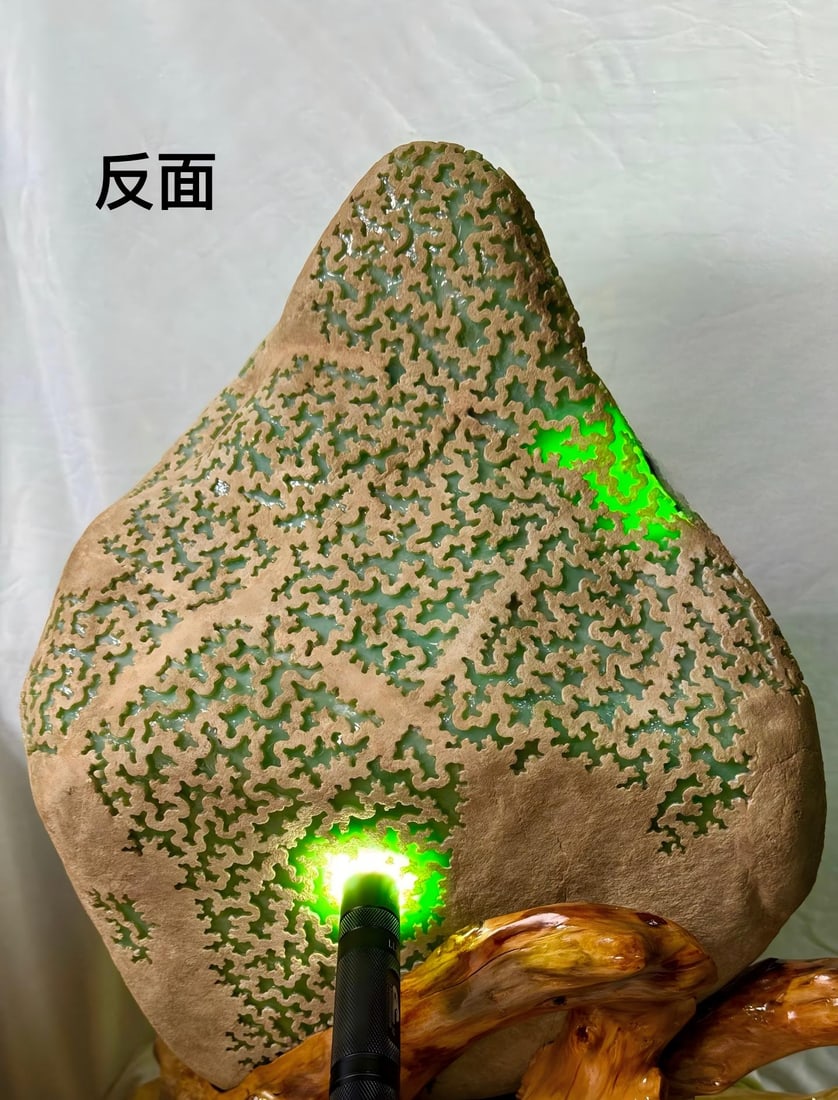 Full Green Jadeite Rough Stone - 6