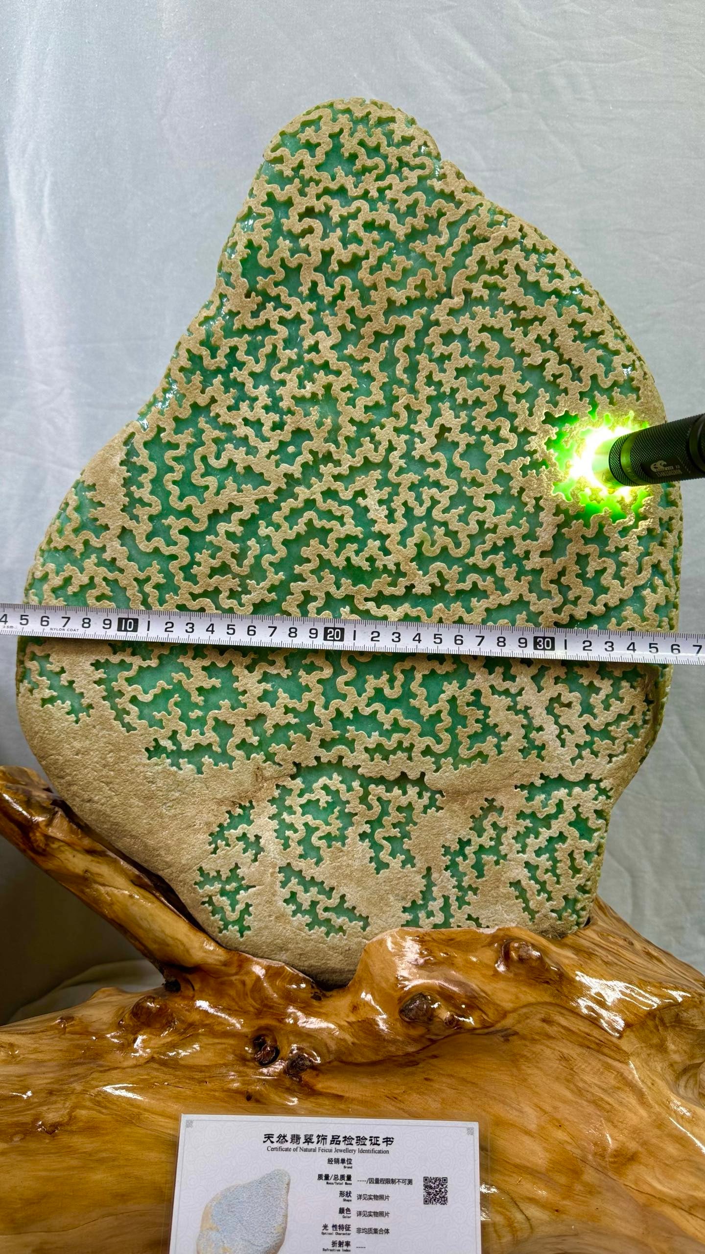 Full Green Jadeite Rough Stone - 9