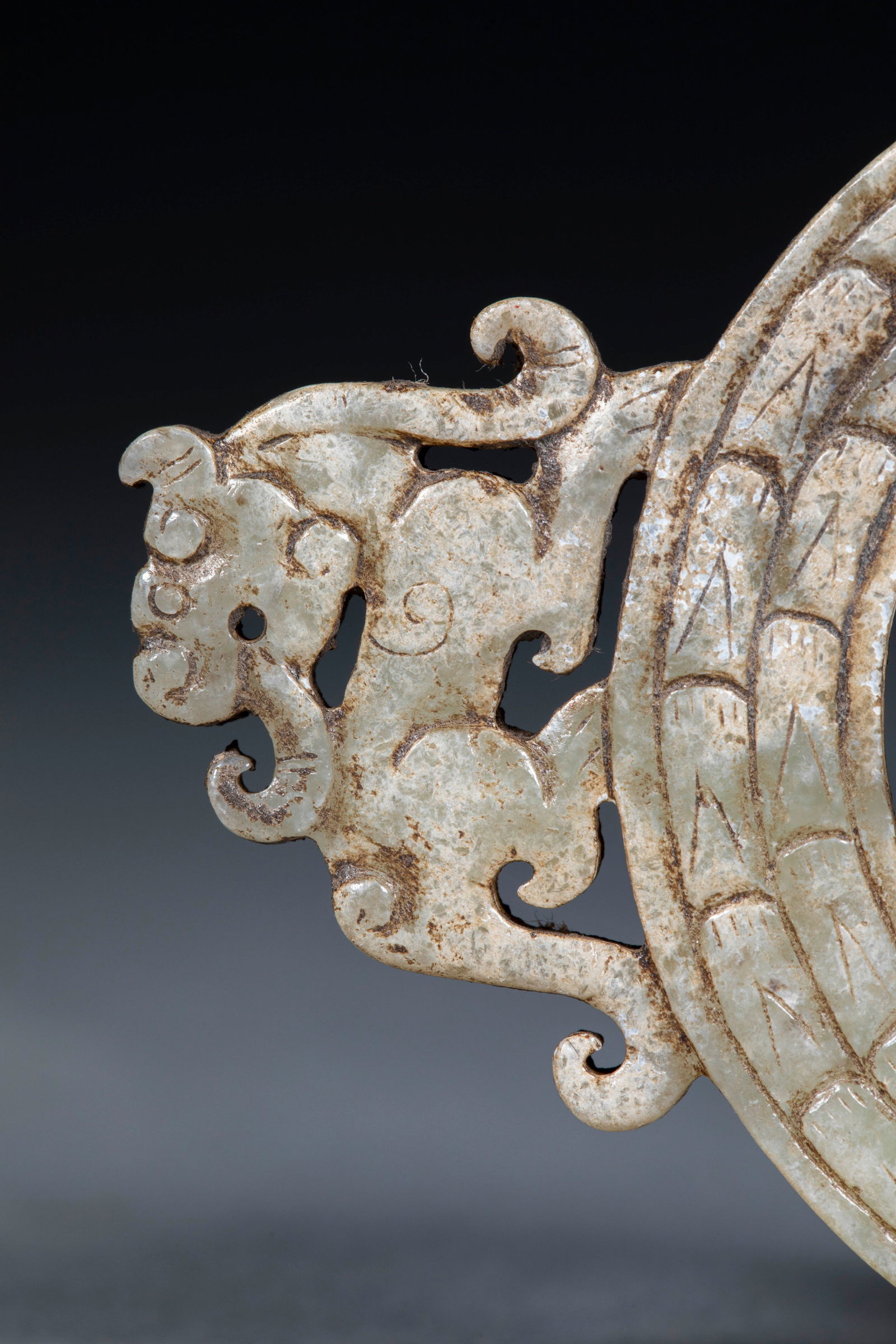Jade Bi Disc with Chi Tiger Pattern - 3