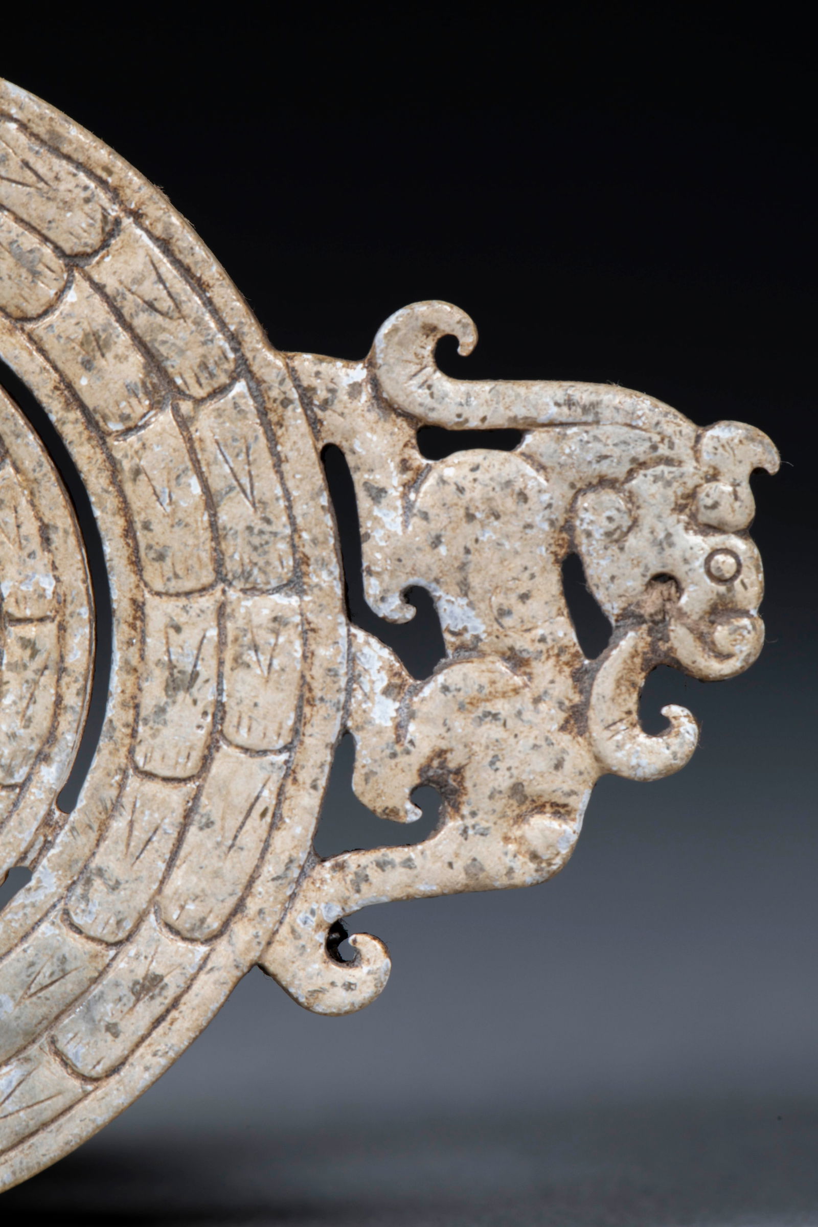 Jade Bi Disc with Chi Tiger Pattern - 4