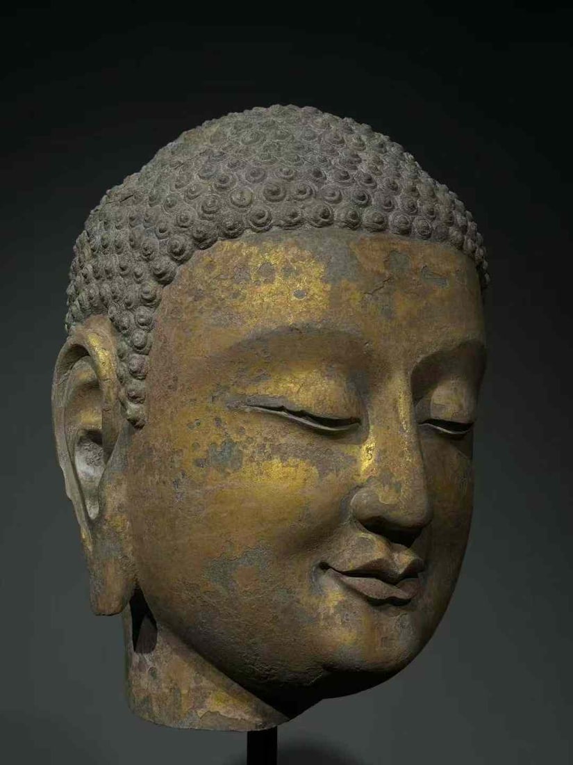 Northern Qi Bluestone Gilded Buddha Head: Northern Qi Blue Stone Gold-Leaf Buddha Head with Base, height 46cm. A Buddhist statue of the Northern Qi Dynasty (550–557 AD), unearthed from temples in the Central Plains or Shandong area, the hea