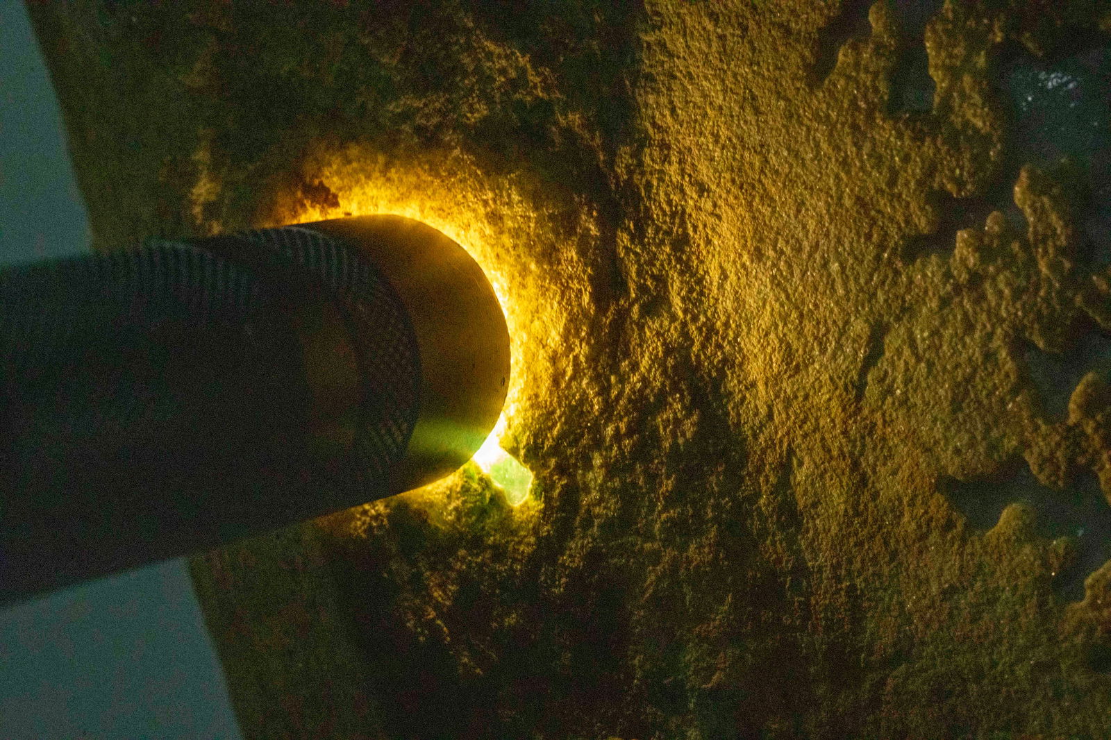 Jadeite Rough Stone (with Certificate) - 3