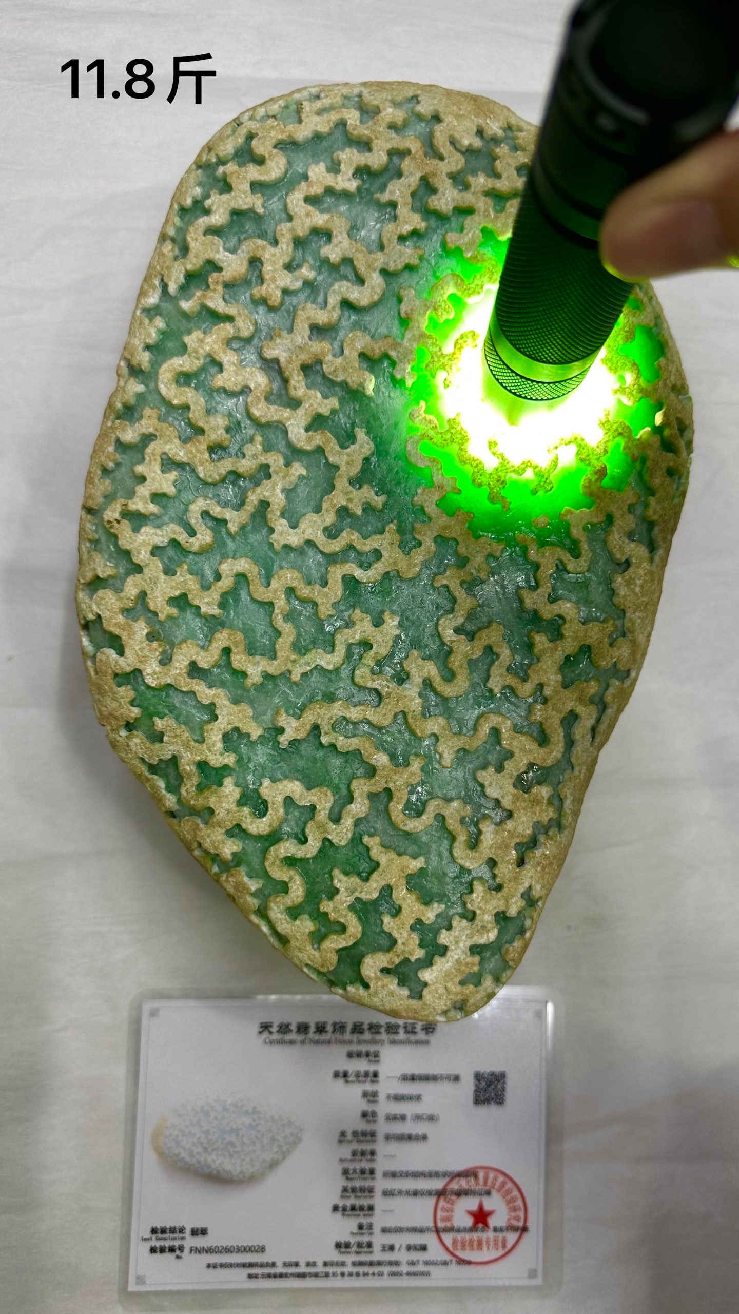 High-Ice Full Green Jadeite Rough Stone (1 of 9)